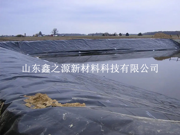 養(yǎng)殖防滲膜施工固定新法：簡約高效，守護生態(tài)養(yǎng)殖