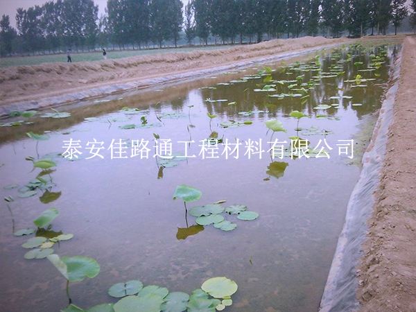 養(yǎng)殖防滲膜延伸率不足？根源在這些地方
