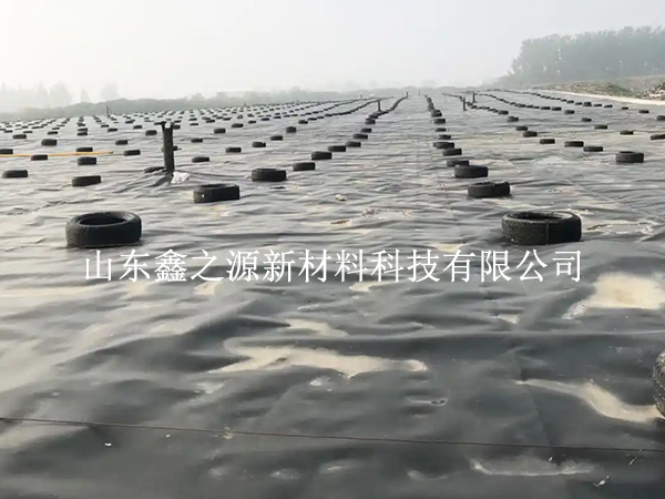 蓄水池防滲膜裁剪別亂剪，這些技巧更省心