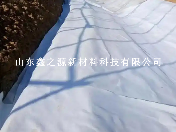 養(yǎng)護土工布水平鋪設(shè)總出問題？這些要求不懂就別開工